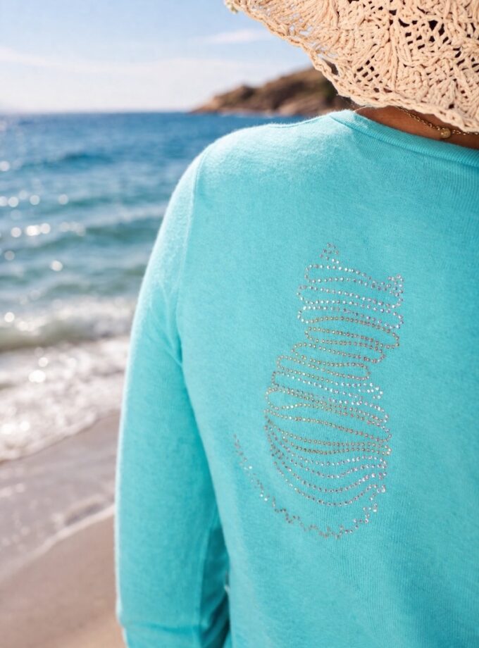 FEL30 - PULL V CHAT BRODE DOS - 26E